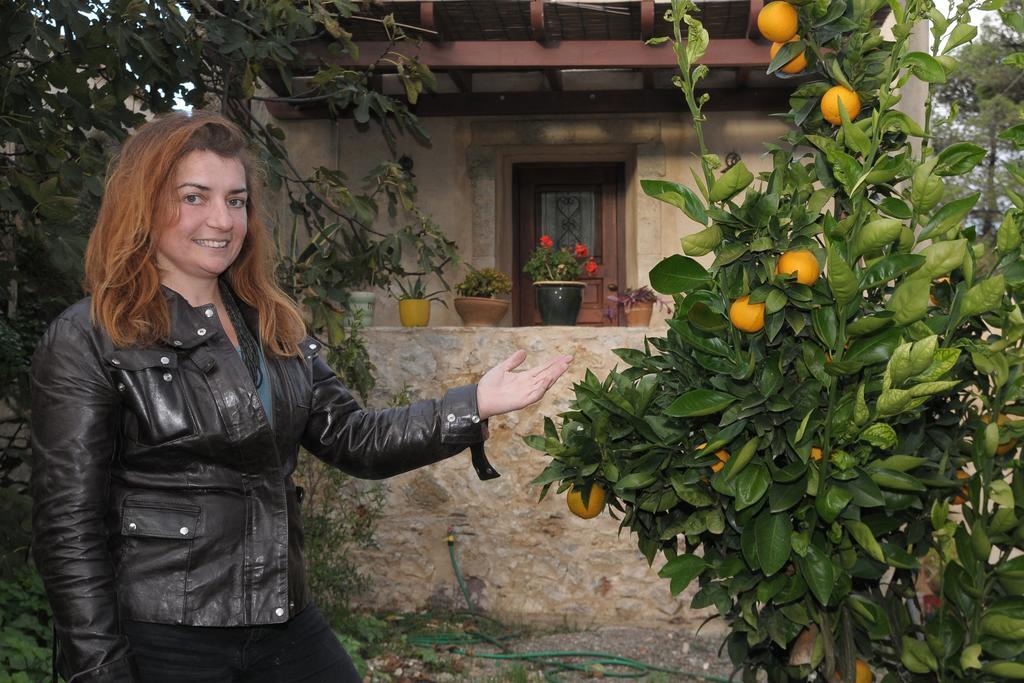 Porfyrousa Traditional Hotel Milopotamos  外观 照片
